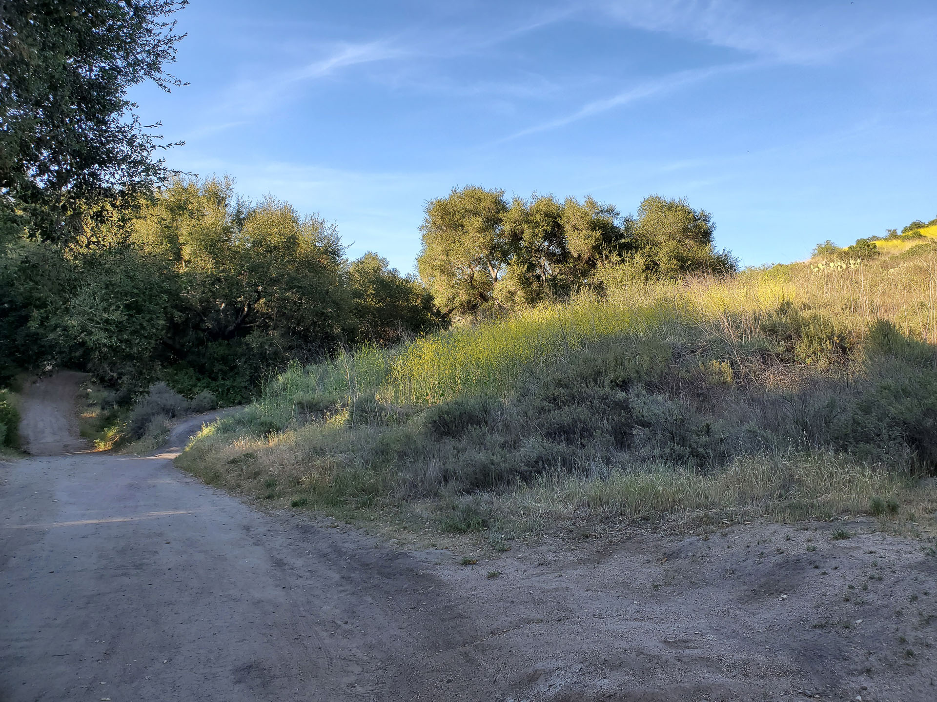 Whiting Ranch April 2021 Fred Currie